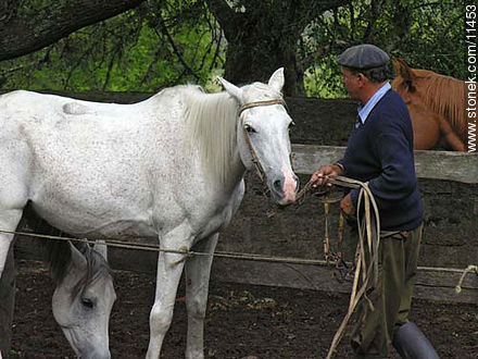  - Department of Florida - URUGUAY. Photo #11453