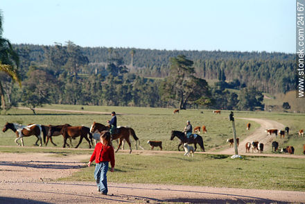  - Departamento de Florida - URUGUAY. Foto No. 24167